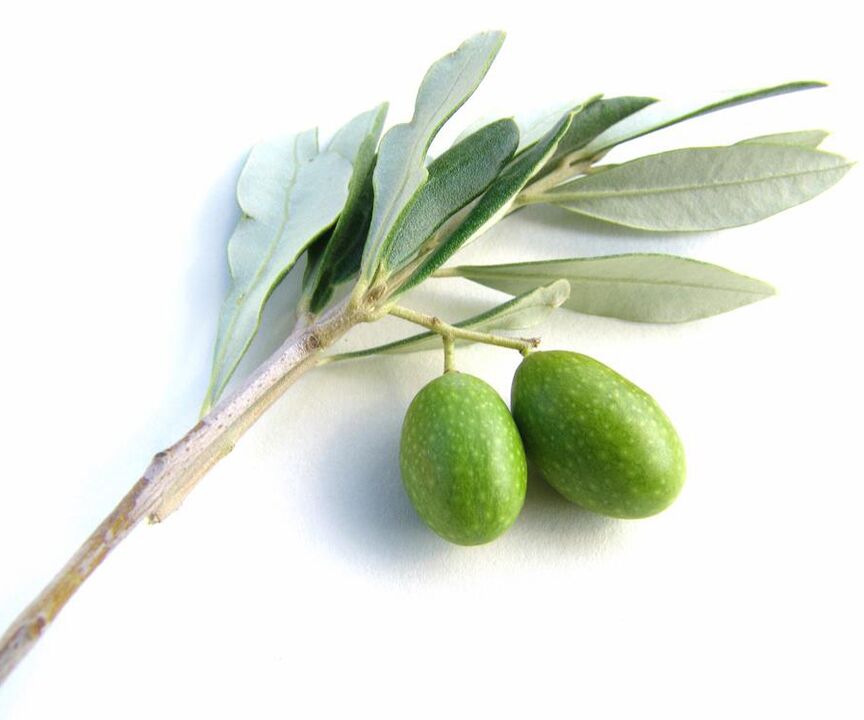 Oliba olioaren laburpena Diuman Plus-en